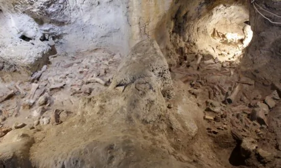 Archaeologists Uncover Neanderthal Remains in Caves Near Rome