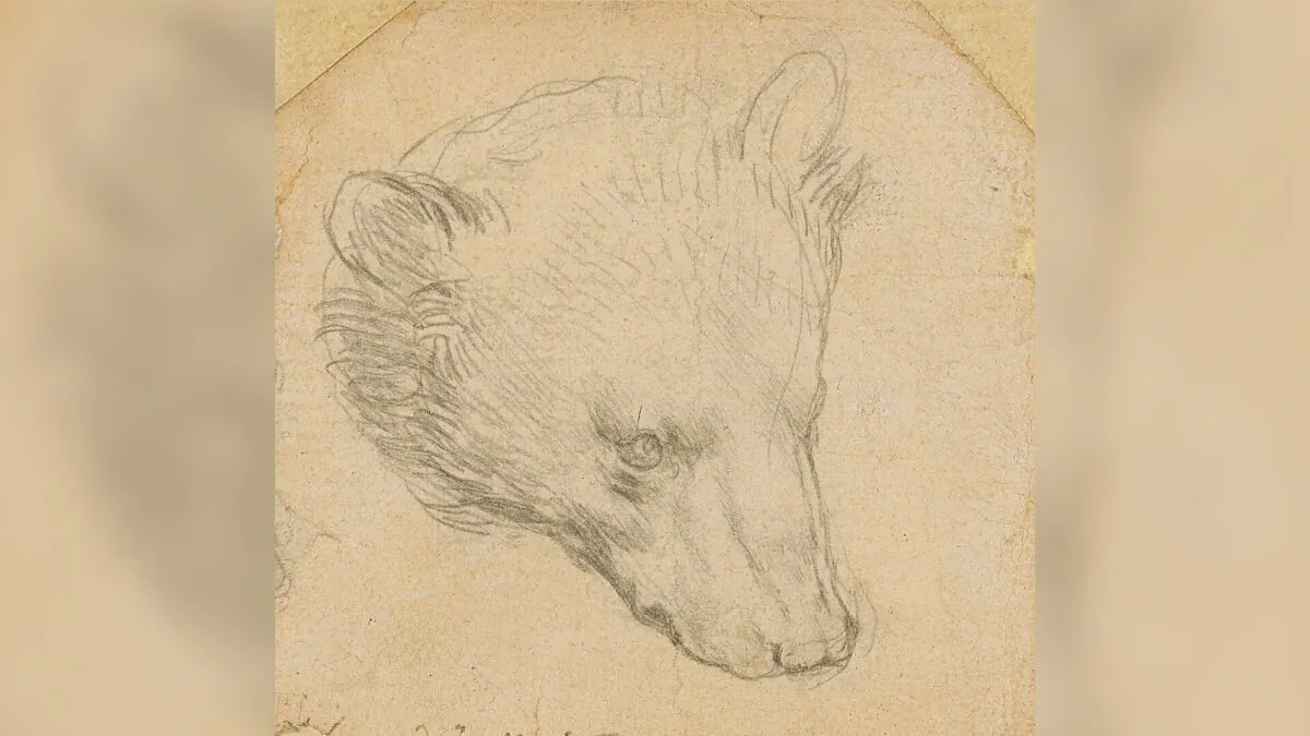 Leonardo da Vinci's (1452-1519) "Head of a bear" drawing is seen in this undated handout image. (Copyright Christie's2021/Handout via Reuters)
