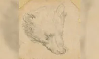 Da Vinci’s ‘Head of Bear’ Drawing Seen Fetching up to $16 Million