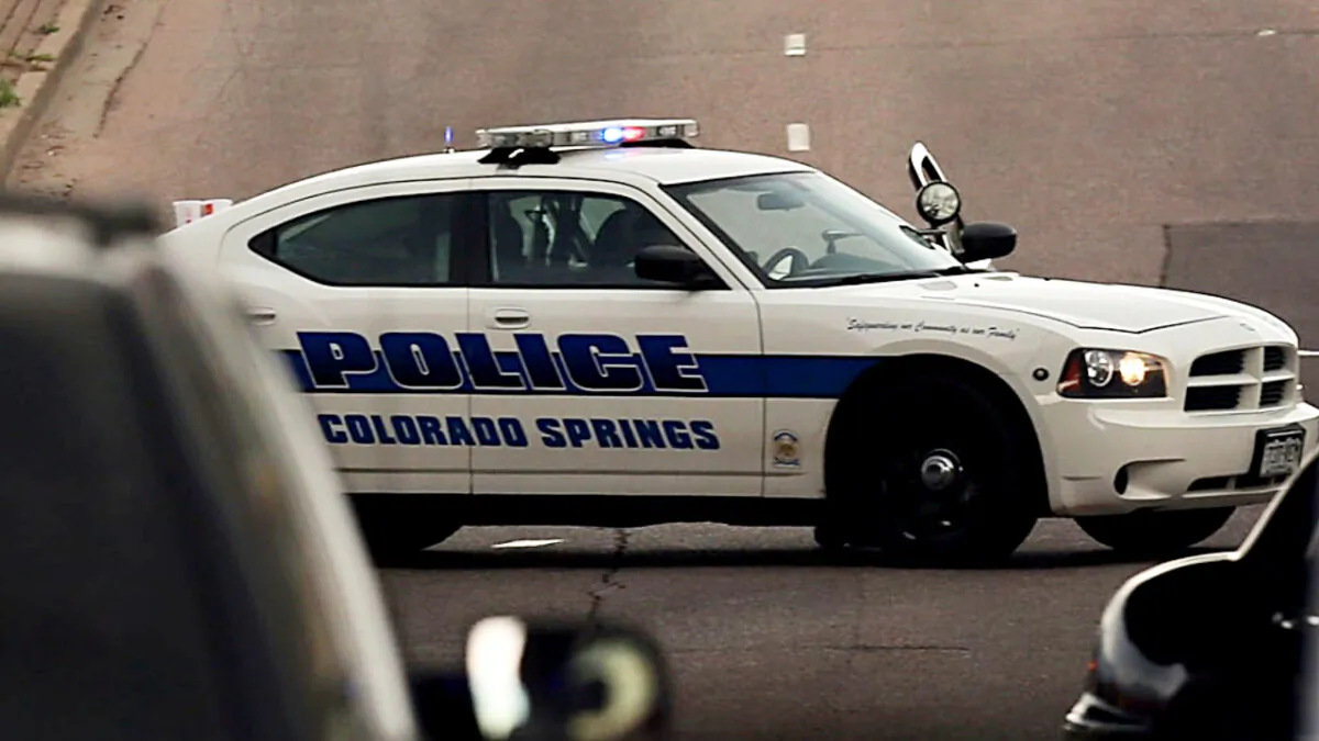 A police car in a file photo. (Spencer Platt/Getty Images)