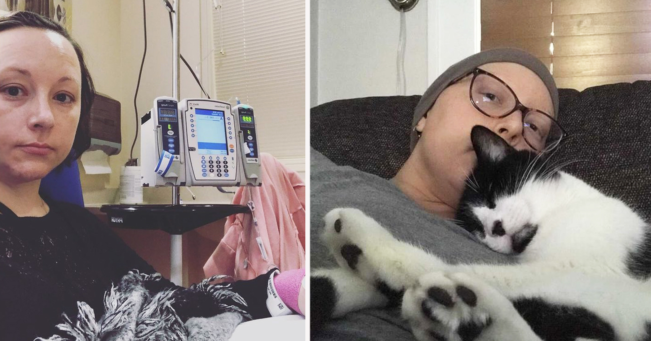 Woman Says Her Rescue Cat Helped Save Her Life After Detecting Breast Cancer - Vimarsana News