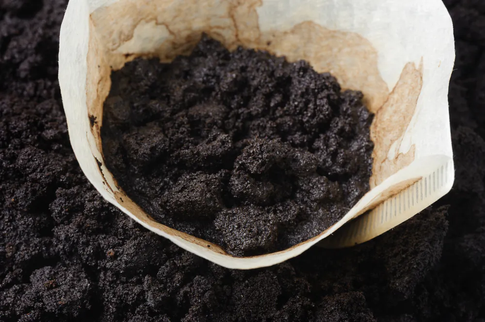 Used coffee grounds can eliminate even the worst refrigerator odors. (Nor Gal/Shutterstock)