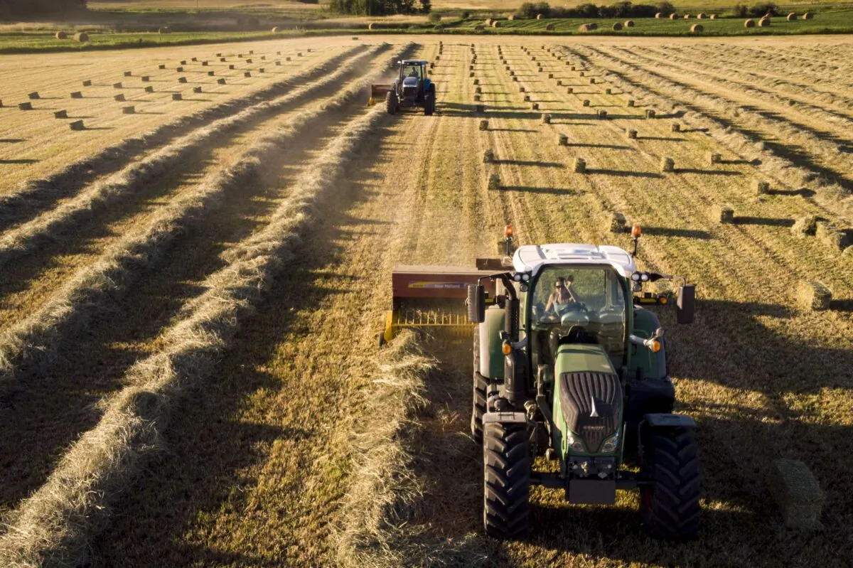 Hay is harvested on a farm near Cremona, Alta., in a file photo. (The Canadian Press/Jeff McIntosh)