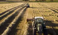 Sylvain Charlebois: Farming Is Losing to Misguided Urban Politics