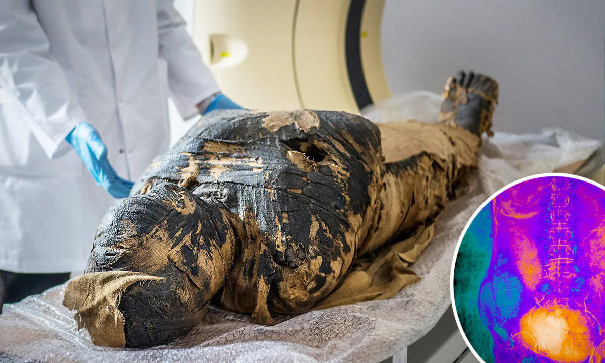 (Left) (Courtesy of Aleksander Leydo/Warsaw Mummy Project); (Right) (Courtesy of Marzena Ożarek-Szilke/Warsaw Mummy Project)