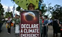 Multimillion Dollar Companies Backing Environmental Activists for Profit: Report