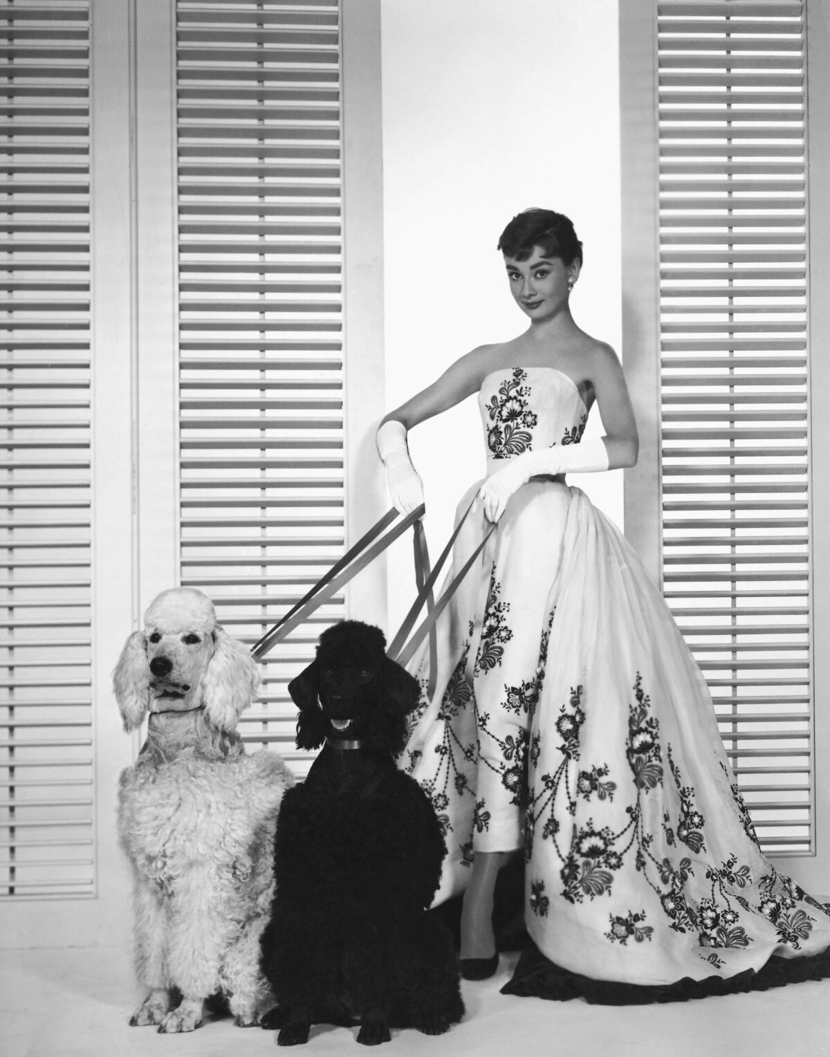 Audrey Hepburn in Sabrina gown