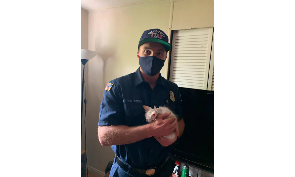 Firefighers were called to rescue a kitten whose curiousity got the better of him. (Courtesy of the Orange County Fire Authority.)