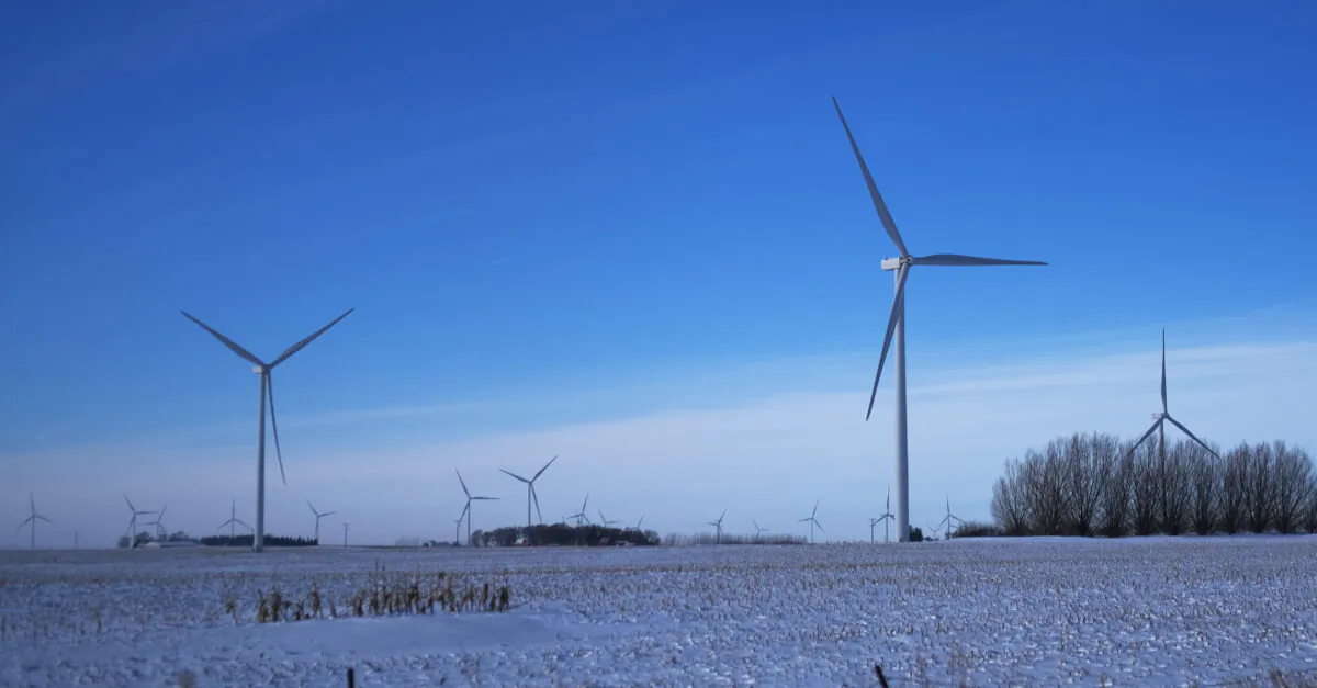 A wind farm, used to generate wind power, stands along the roadside in Iowa in Sanborn, Iowa, on Jan. 16, 2020. (Spencer Platt/Getty Images)
