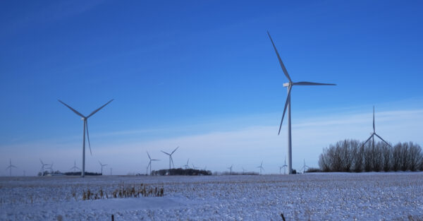 A wind farm, used to generate wind power