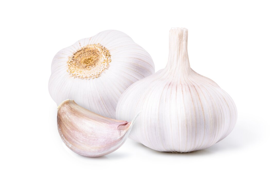 (NIKCOA/Shutterstock)