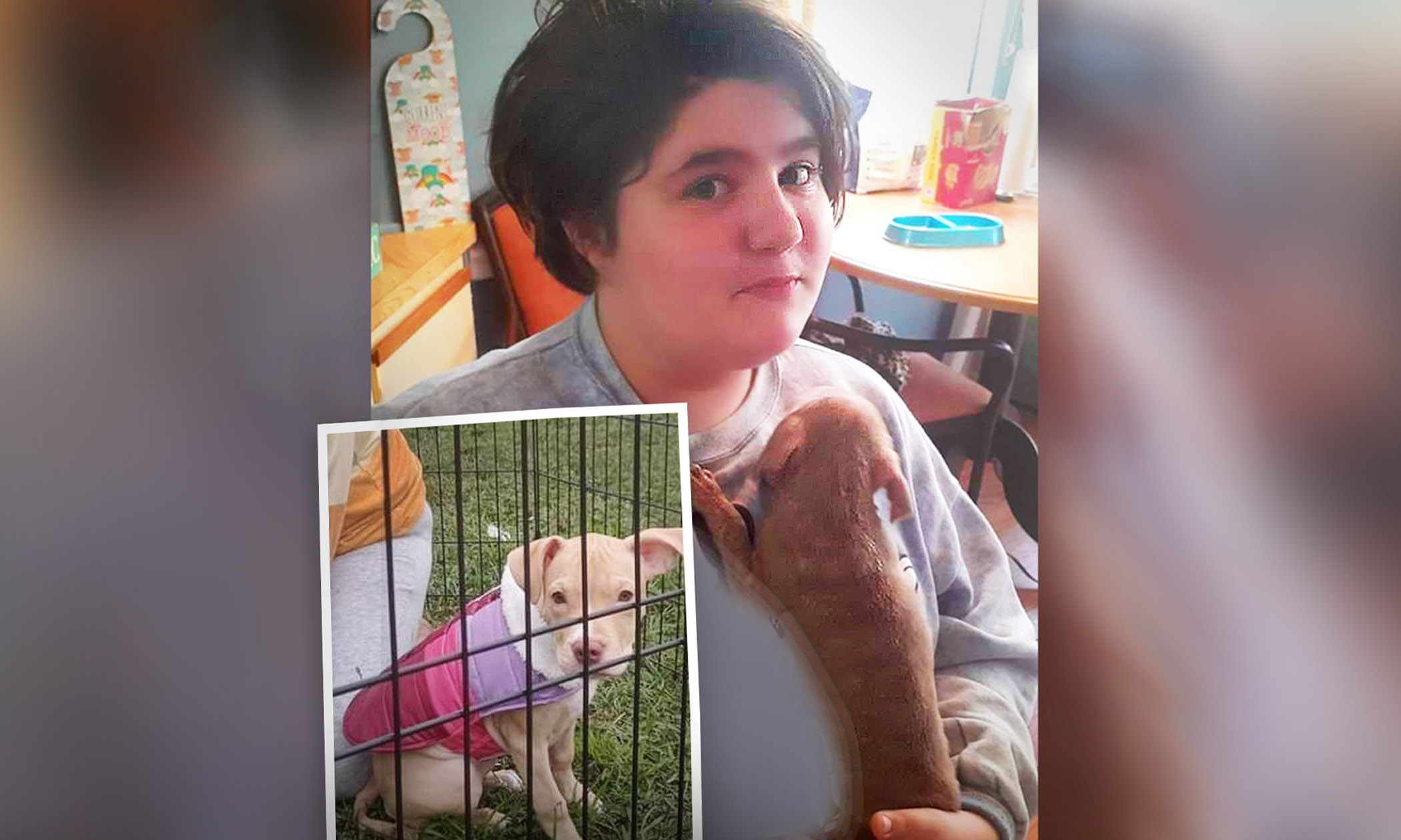 11-Year-Old Girl Enters Blazing RV to Save Puppies, Doesn't Make It Out Alive - Vimarsana News