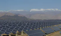 Forced Uyghur Labor Behind World’s Solar Panels, Investigation Finds