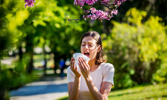 Foods to Help Face Seasonal Allergies