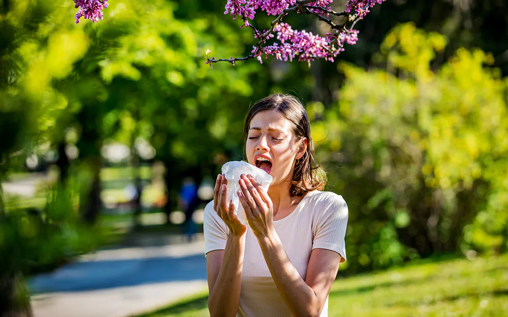 One consequence of allergies is brain fog caused by the way allergyinduced inflammation affects the brain.(RealPeopleGroup/E+/GettyImages)