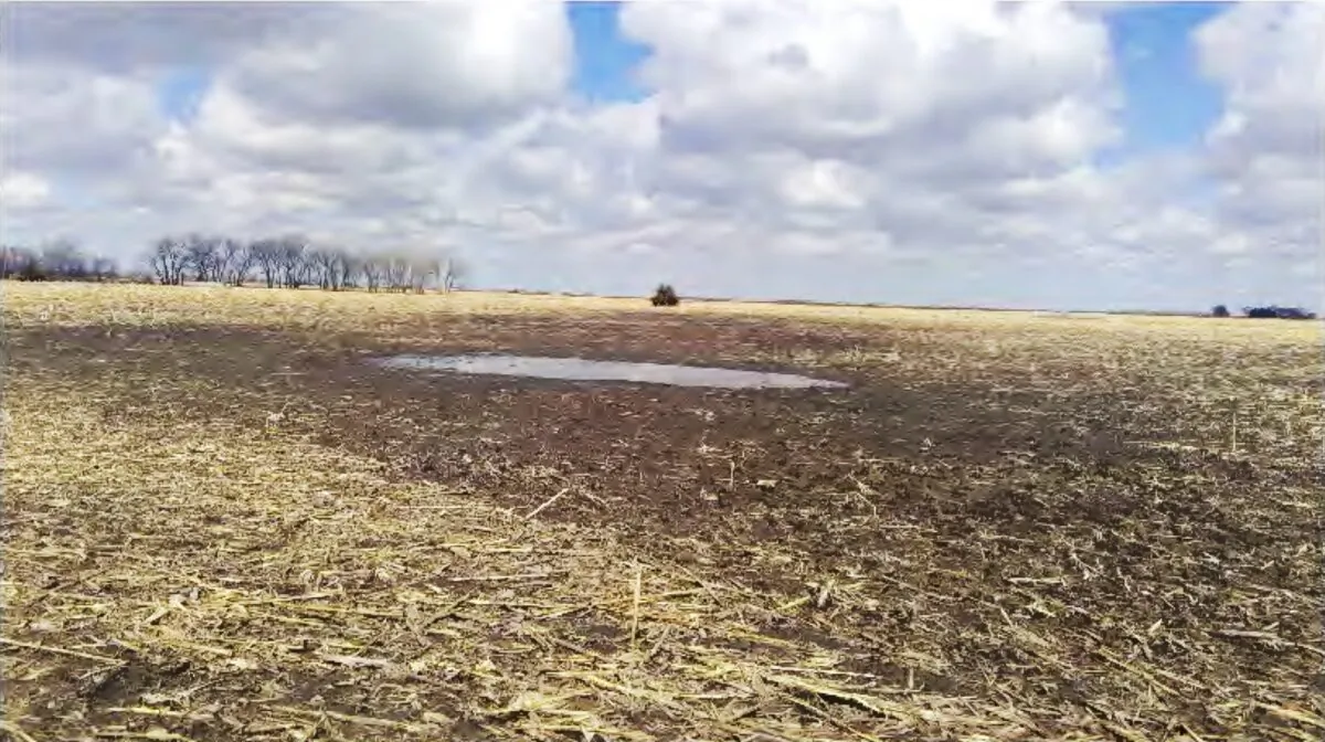 A mud puddle located on the farm of Arlen and Cindy Foster in Miner County, S.D., on March 25, 2021. (Courtesy of Arlen and Cindy Foster)