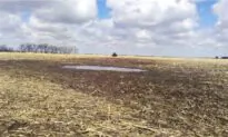Federal Overreach: The Nation’s Most Expensive Mud Puddle