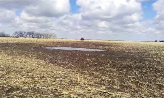 Farmers Sue Over Federal Regulation of ‘Mud Puddle’ on Their Land