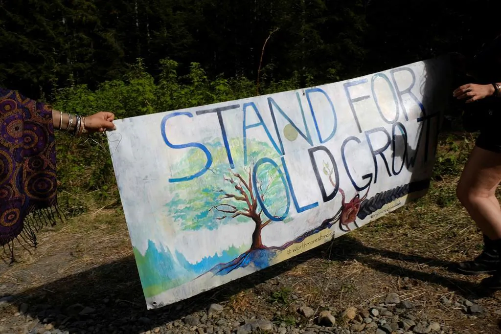 A banner is held at the entrance to a new blockade that protesters formed near Port Renfrew, B.C., on May 11, 2021. The RCMP in British Columbia say the enforcement of a court injunction banning blockades of logging activities in the area has begun. (Jen Osborne/The Canadian Press)