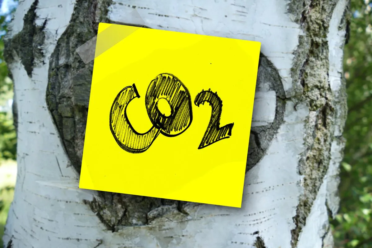 A CO2 label on a birch tree (Gerd Altmann via Pixabay)