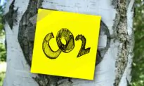 Victoria Backed Carbon Labelling Scheme Excludes $540M Federal Gov Investment
