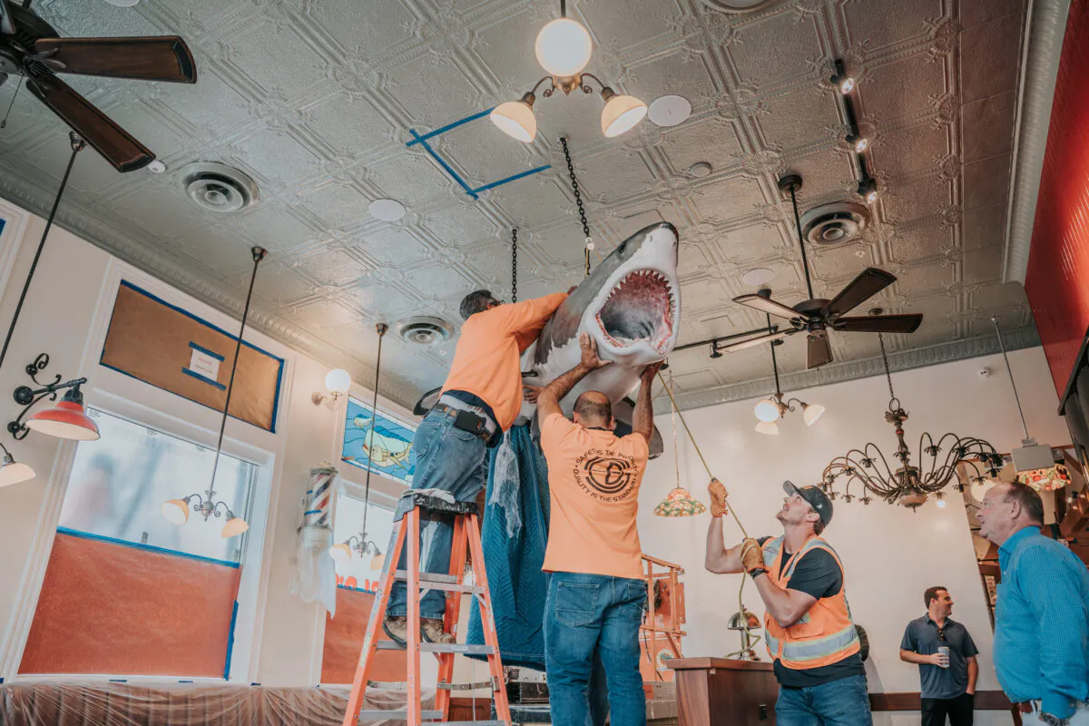 Crews erect a great white shark decoration inside a new Crab Cooker restaurant set to open in Newport Beach, Calif., in July 2021. (Courtesy of HashtagPinpoint Communications)