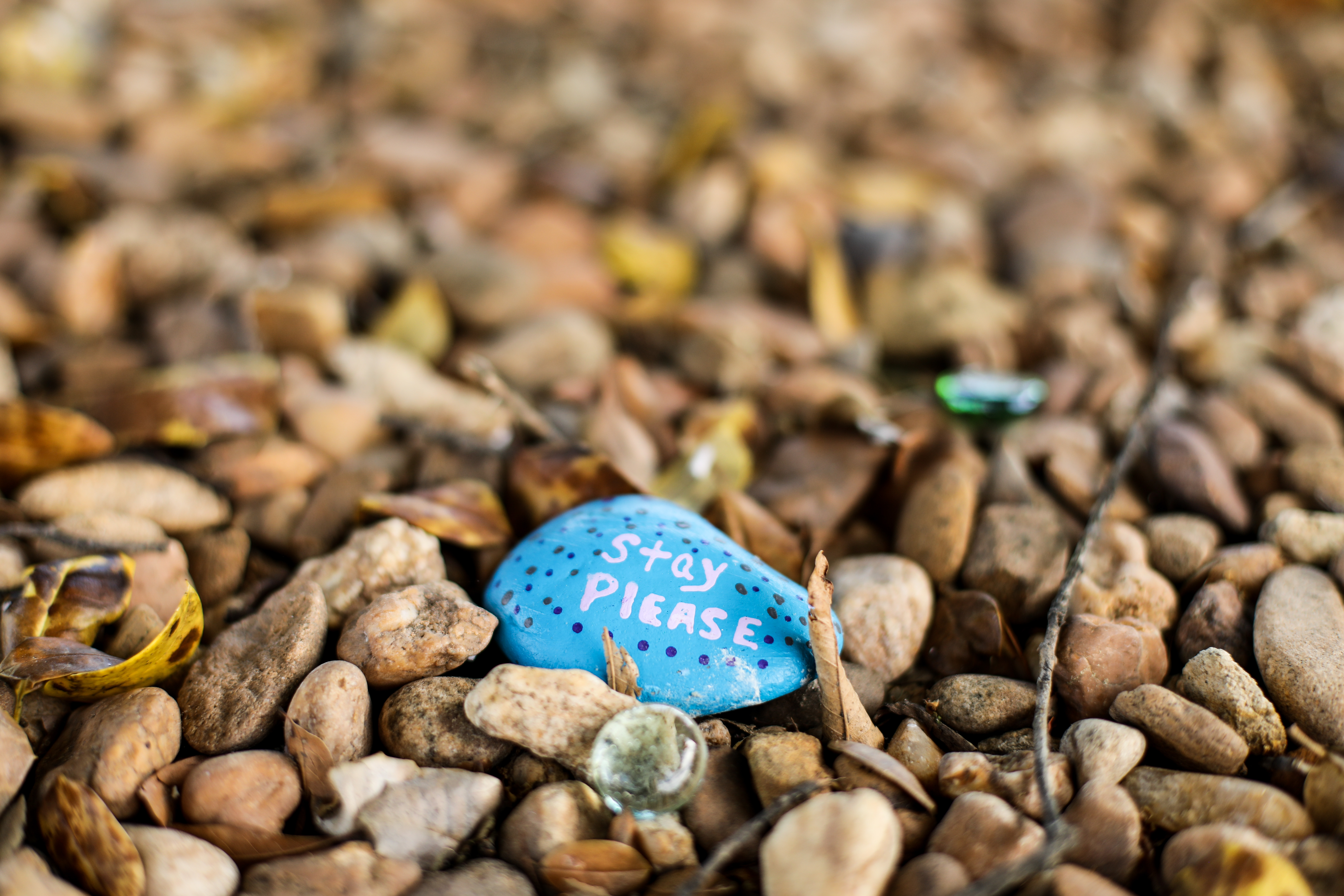 The memorial garden at The McShin Foundation, a nonprofit recovery community organization, in Richmond, Va., on May 12, 2021. (Samira Bouaou/The Epoch Times)