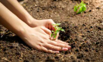 Growing Gardeners: It’s Moving Day!