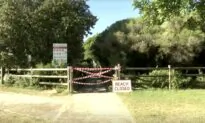 Surfer Killed in Shark Attack on Australia’s East Coast