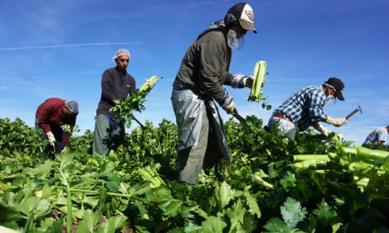 Foreign Investors Control State-Sized Portion of US Agricultural Land