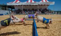 New Acts Added to Orange County Fair Lineup