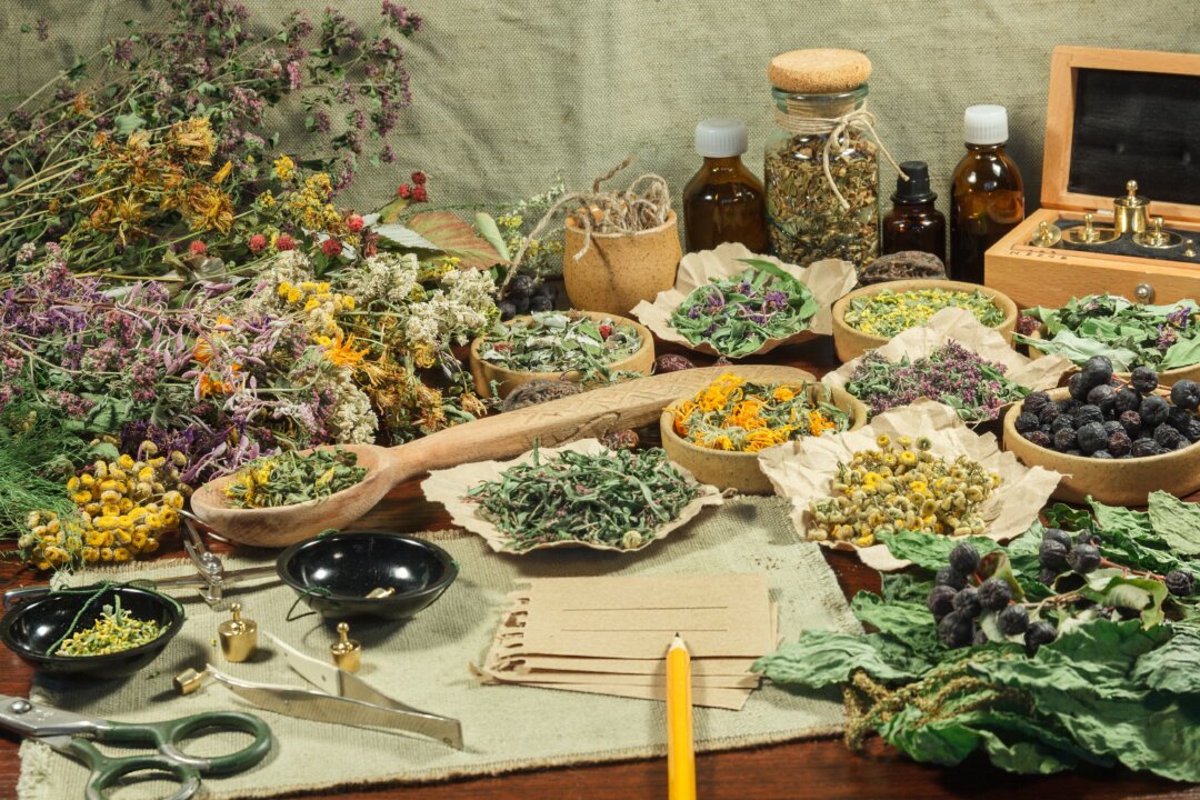 “Grain Buds”
is the best time
to pick herbs
for teas and
ointments. (svrid79/Shutterstock)