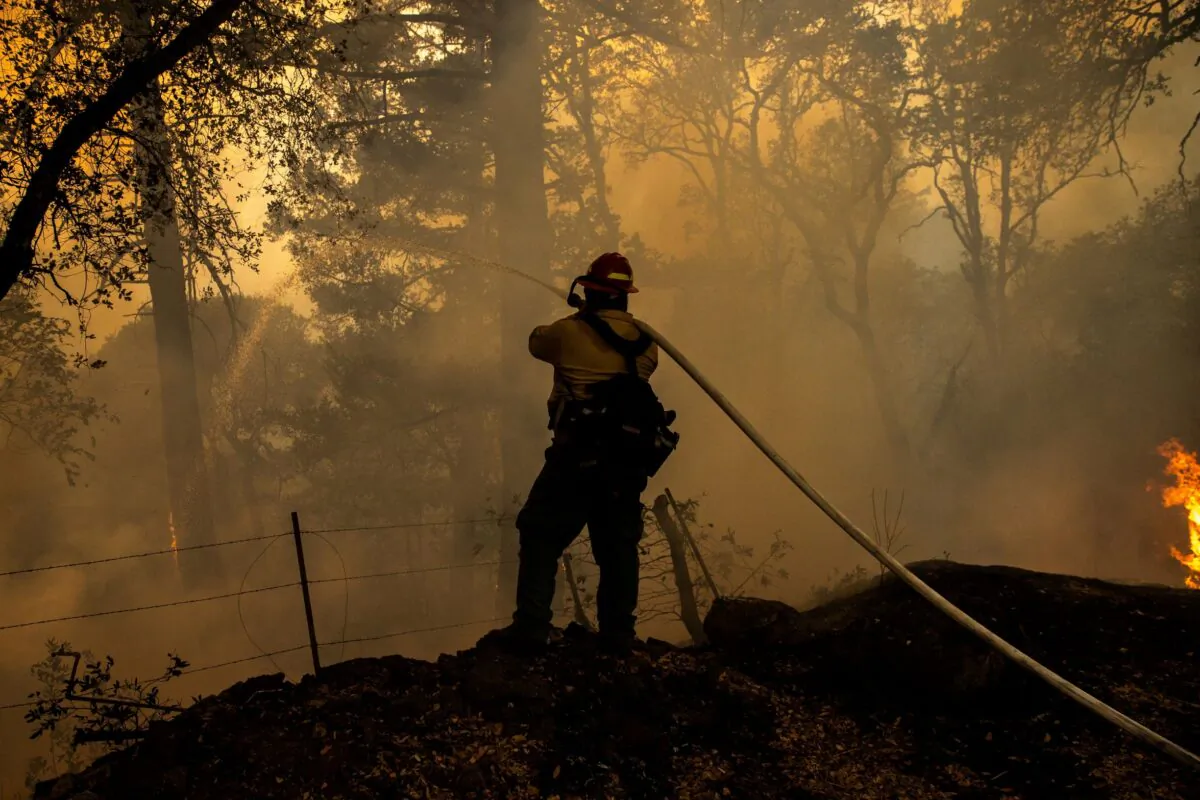 A private wild land firefighter monitors a backfire along Old Lawley Toll Road during the Glass Fire in Calistoga, Calif., on Oct. 2, 2020. (Stephen Lam/Reuters File Photo)
