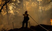 US Proposes Big Increase in Forest Management to Tackle Wildfires