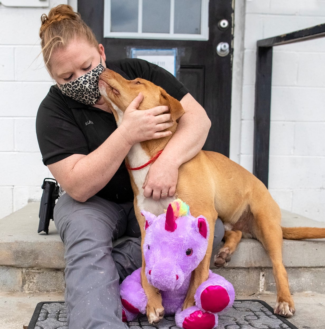 Stray Dog ‘Steals’ Same Stuffed Unicorn 5 Times, so Animal Control Officer Buys It for Him