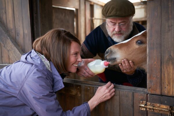 Dream-horse-feeding the baby