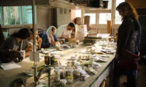 Saving and Sharing Seeds