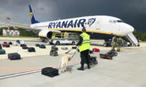 Ryanair Raises Passenger Target to 225 Million a Year by 2026 After Its Post-COVID Recovery Plans Are Approved