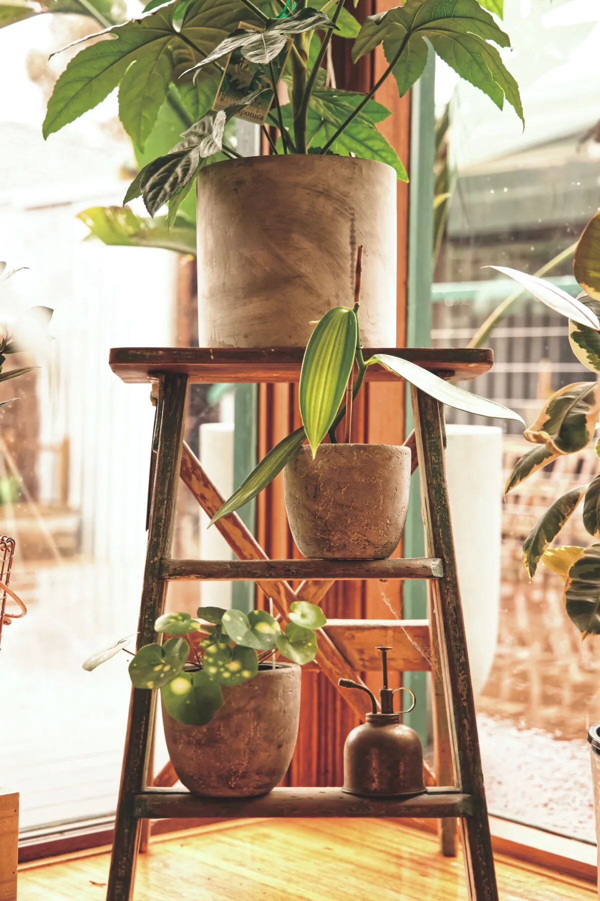 Upcycling a ladder can give you a vertical option for planting in small spaces. (gryffyn m/Unsplash)