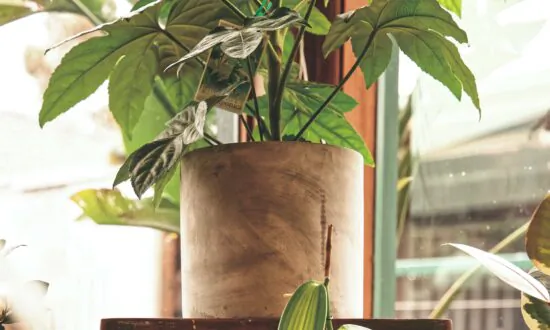 Up-Cycle Your Old Furniture To Add Onto Your Garden