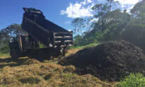 Researchers Dump Tons of Coffee Waste Onto Degraded Land, 2 Years Later It’s Transformed