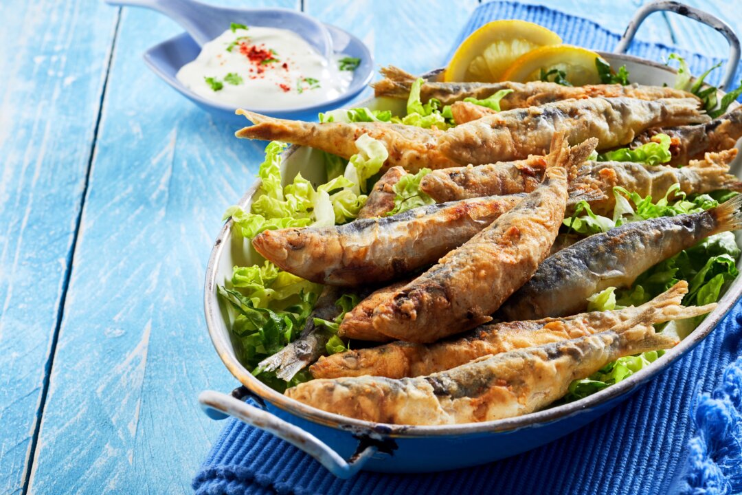 The humble
sardine is getting
some attention. (stockcreations/Shutterstock)
