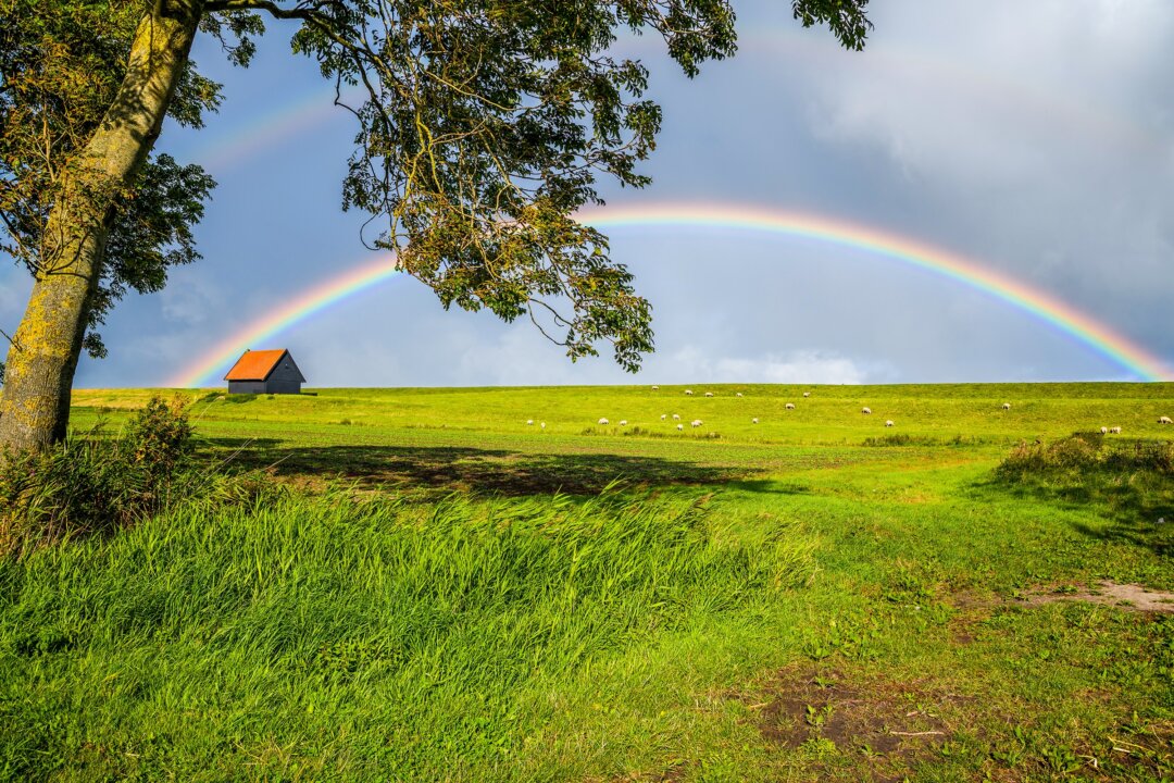 Chasing
positive
thoughts can
be like trying to reach a
rainbow. (VarnaK/Shutterstock)