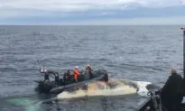 Canadian Fishery Officers to Embark on First High-Seas Mission to Fight Fish Poachers