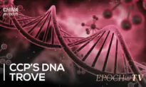 China in Focus: Beijing Firms Are Collecting American DNA: Report