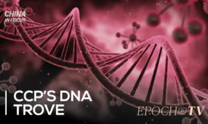 China in Focus: Beijing Firms Are Collecting American DNA: Report