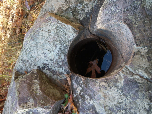 Epoch Times Photo