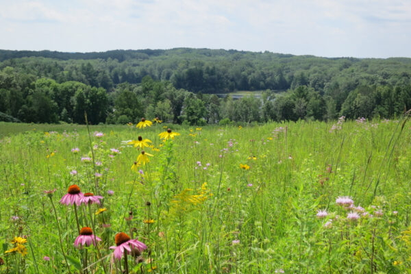 wisconsin chippewa circle trail