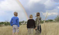 What Good Is Poetry? Wordsworth’s ‘The Rainbow’