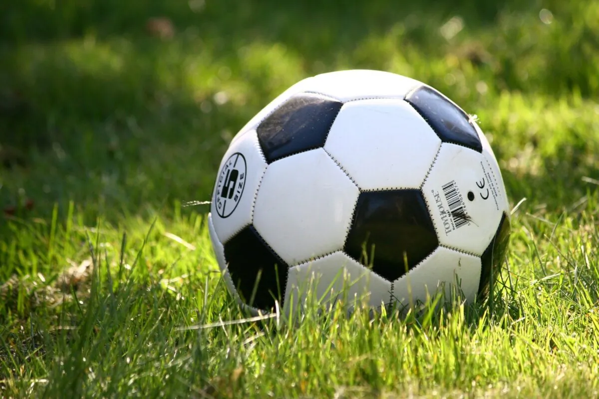 A soccer ball on a field. (AnnRos/Pixabay)